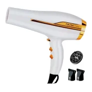 سشوار حرفه ای مک استایلر M.A.C Styler MC-6678 W 2200W